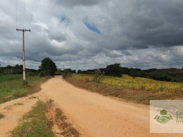 #109 - Chácara para Venda em Quitandinha - PR - 2